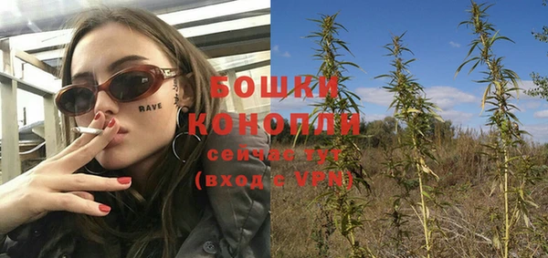 винт Арсеньев