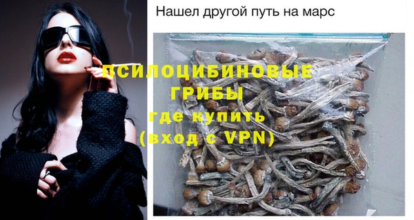 винт Аркадак