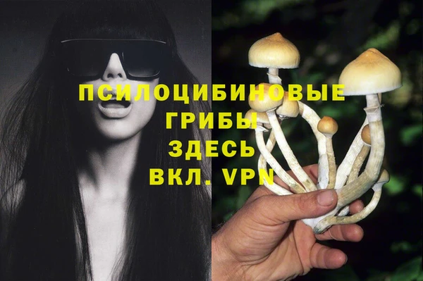 винт Аркадак