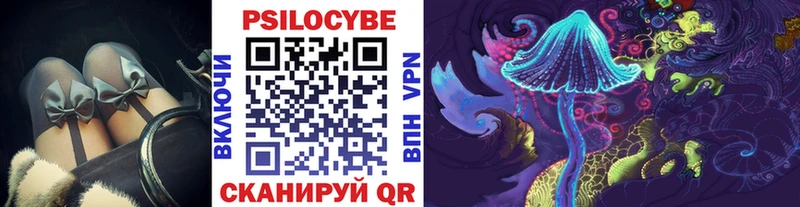 Галлюциногенные грибы Psilocybe  Купить закладки  Талица 